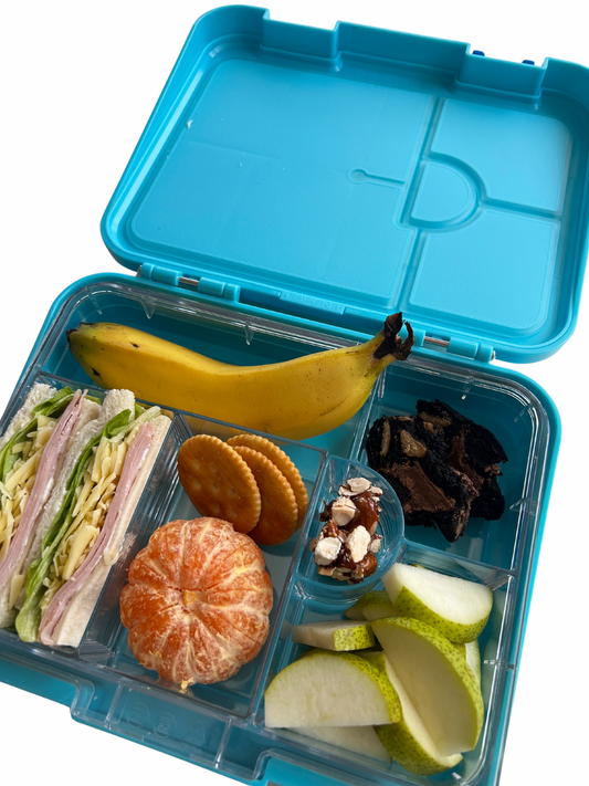 Noonys Large Bailey Bento lunchbox - blueberry
